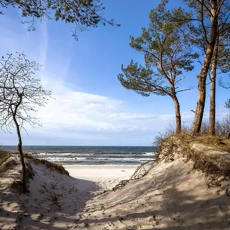 Kapitanska 16c31 그르지보보